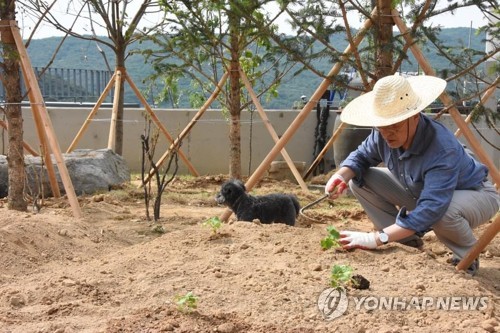 문재인 전 대통령과 애완동물