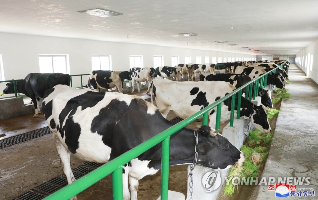지난 6월 건설된 북한 함경남도 흥상군 젖소목장 