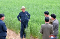 رئيس وزراء كوريا الشمالية يدعو إلى تعزيز الري وسط نقص الغذاء