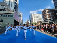 Taekwondo à São Paulo