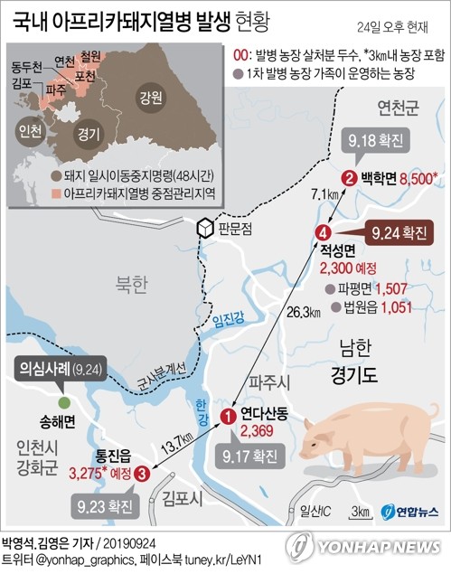 [그래픽] 국내 아프리카돼지열병 발생 현황(종합)