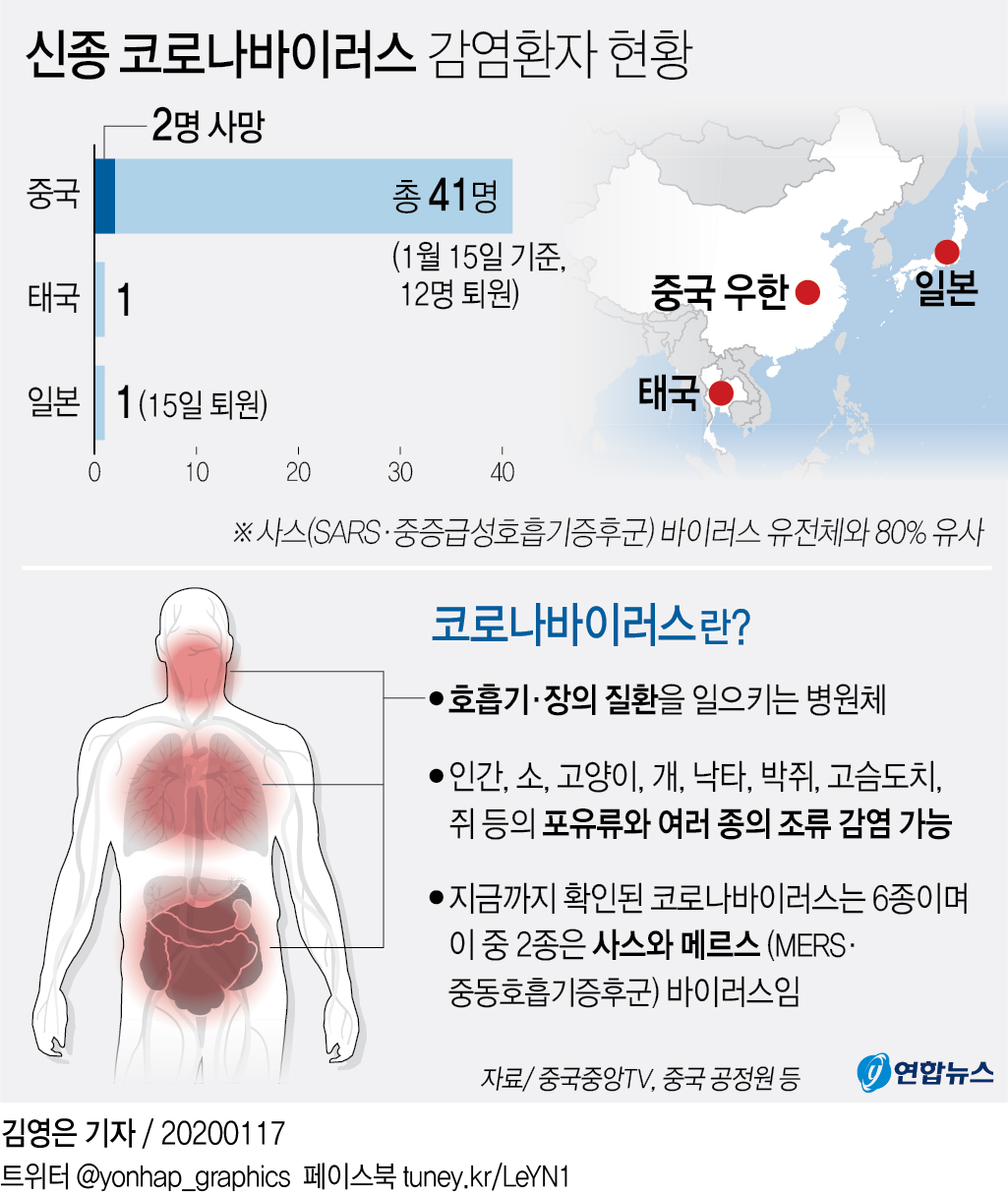 그래픽 신종 코로나바이러스 감염환자 현황 연합뉴스 