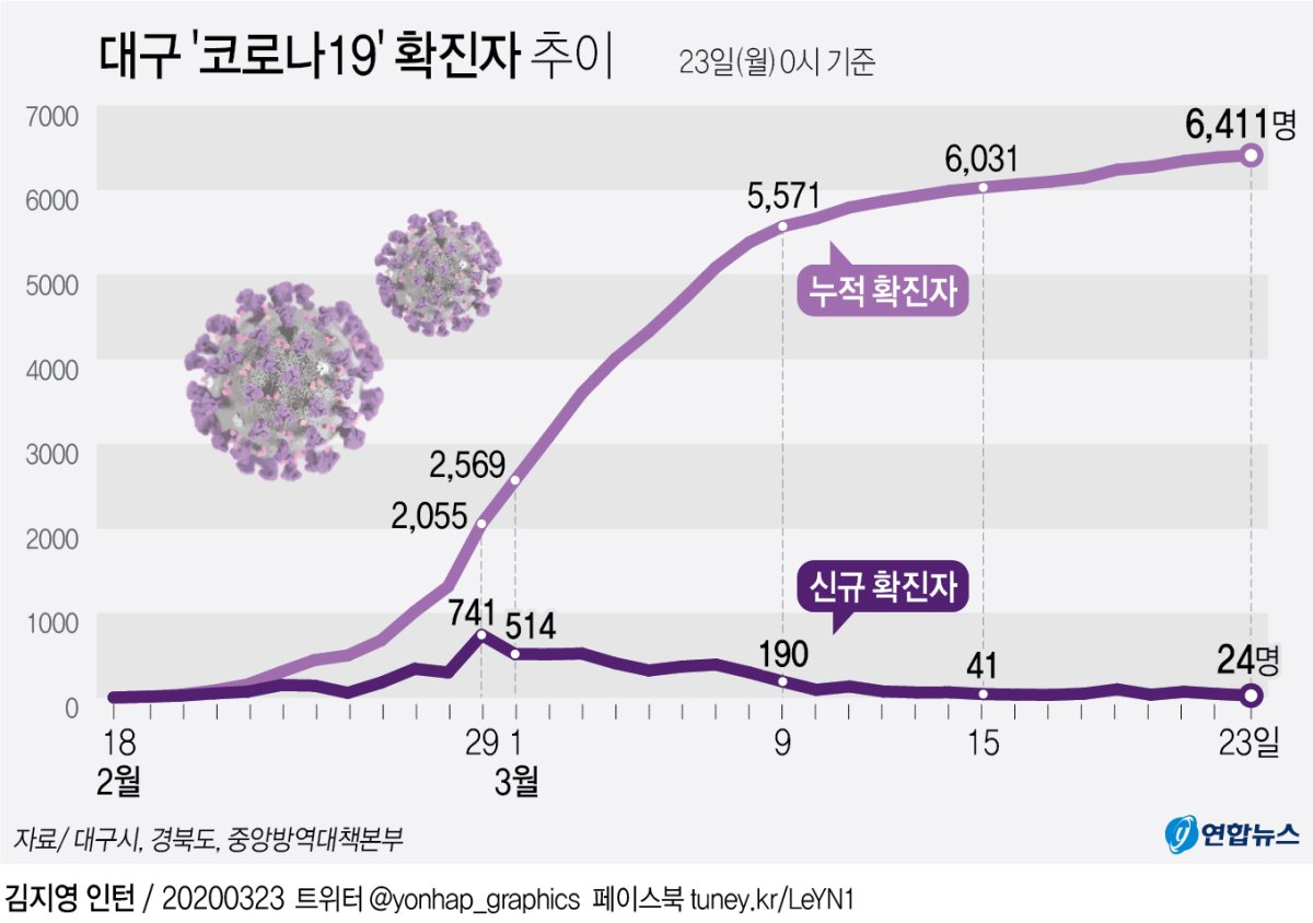 [그래픽] 대구 '코로나19' 확진자 추이