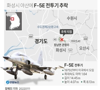 [그래픽] 화성시 야산에 F-5E 전투기 추락