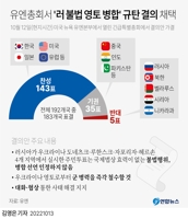 [그래픽] 유엔총회서 '러 불법 영토 병합' 규탄 결의 채택