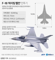 [그래픽] F-16 '파이팅 팰컨' 전투기