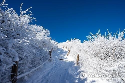 In this file photo, a trail of Mount Taebaek is covered in snow. (Yonhap)