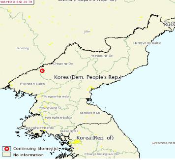 (LEAD) N. Korea confirms outbreak of African swine fever