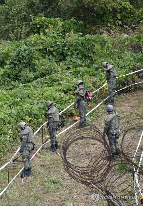 South Korean troops remove land mines at the Demilitarized Zone (DMZ) near Chorwon, Gangwon Province, on Oct. 2, 2018, in this Joint Press Corps photo. (Yonhap)