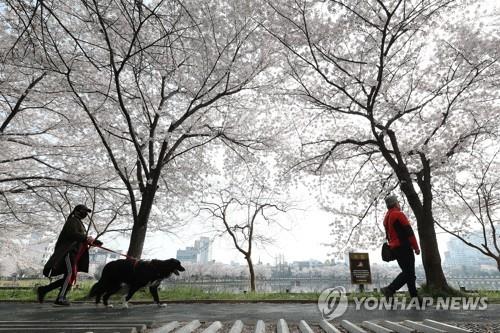 Residents keep a safe distance as they walk along a lake in Gwangju, about 330 kilometers south of Seoul, on April 4, 2020, amid the country's nationwide social distancing campaign to stem the spread of the coronavirus. (Yonhap) 