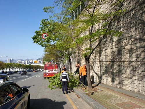 Strong wind alerts issued for most parts of South Korea
