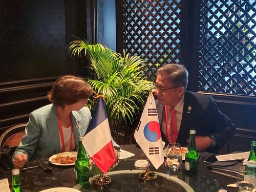 S. Korea, France hold foreign ministerial talks in Bali on economic security
