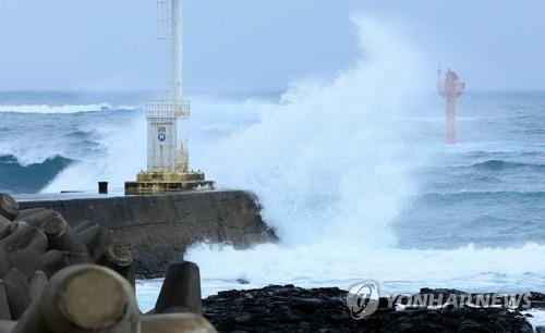 Jeju Island comes under the influence of Typhoon Khanun on Aug. 9, 2023. (Yonhap)