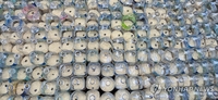 6 Americans nabbed for trying to send plastic bottles with rice, dollar bills to N. Korea