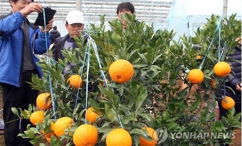 세진농원 이미지