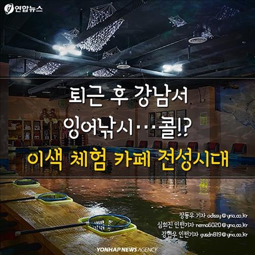 <카드뉴스> 카페서 낚시할래, 낮잠 잘래?…체험카페 전성시대 | 연합뉴스