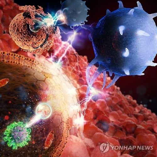B형 간염바이러스가 면역세포의 공격에도 살아남는 그림 모식도[연합뉴스 자료사진]