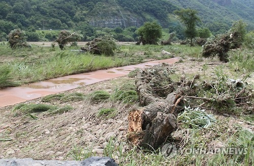 홍수에 쑥대밭 된 금강 수변공원 [연합뉴스 자료사진]
