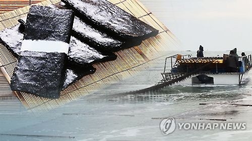 "우리나라 김, 아시아 표준됐다"…세계 최초 해조류 국제규격 - 1