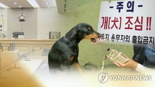 [연합뉴스TV 제공]