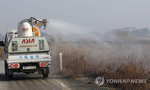 경기 용인 청미천서 AI 항원 검출