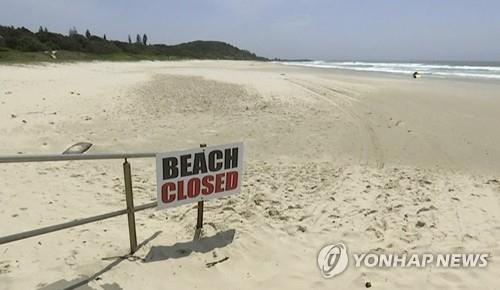 상어 출몰로 폐쇄된 호주의 한 해변