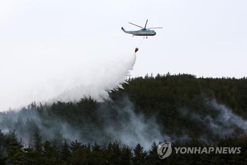 건조한 날씨 속 영천·구미서 산불…임야 0.3㏊ 타