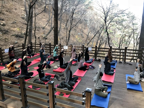 국립대관령치유의숲서 관광객들이 산림치유프로그램을 체험하는 모습