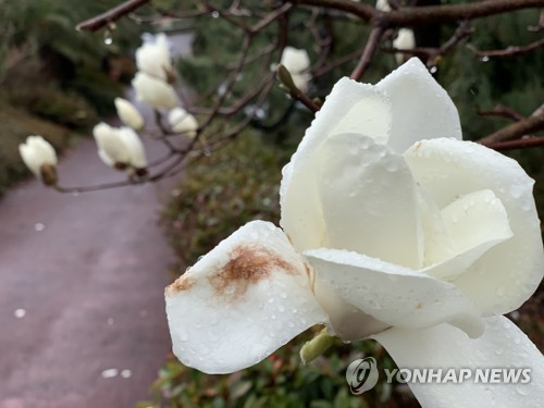 경남, 흐리고 비 또는 눈 내려…미세먼지는 보통