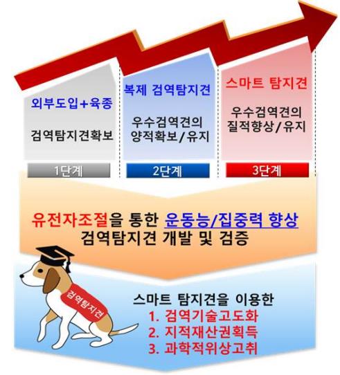 탐지견의 80%는 복제견…대부분 국제공항 검역에 배치