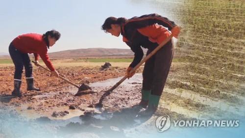 800만불 대북인도지원 집행 절차는…곧 WFP와 협의할 듯(CG)