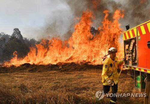 호주 뉴사우스웨일스주에서 발생한 대형 산불 현장.