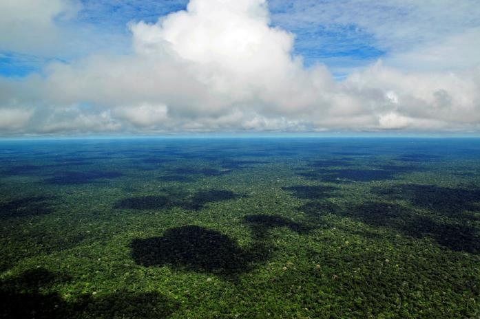 '지구의 허파'로 일컬어지는 아마존 열대우림 [국영 뉴스통신 아젠시아 브라질] 