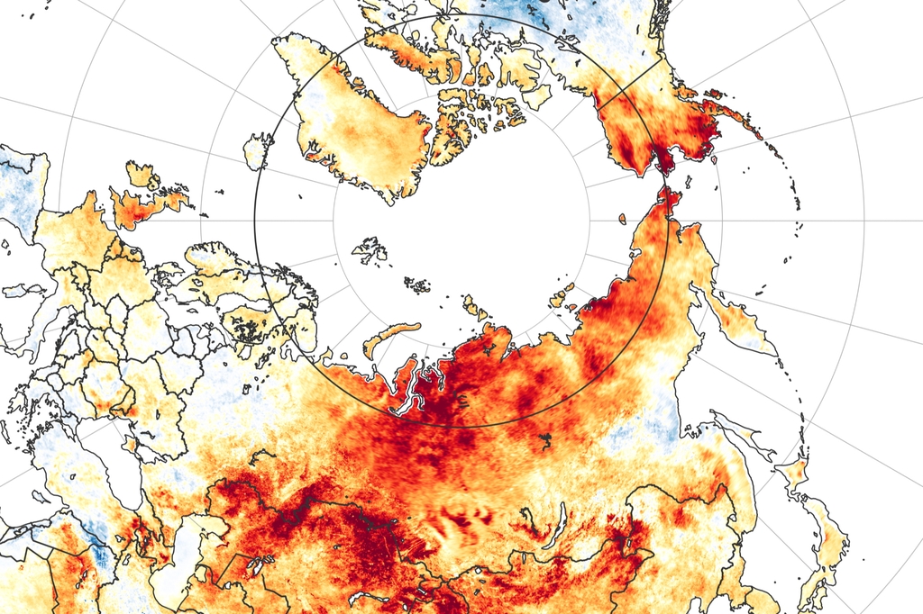 NASA가 공개한 북극해 주변 지표면 이상고온 현상 지도. 2020.6
