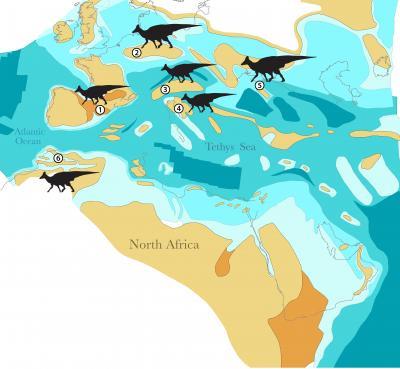 깊은 바다로 분리돼 있던 6천600만년 전 아프리카