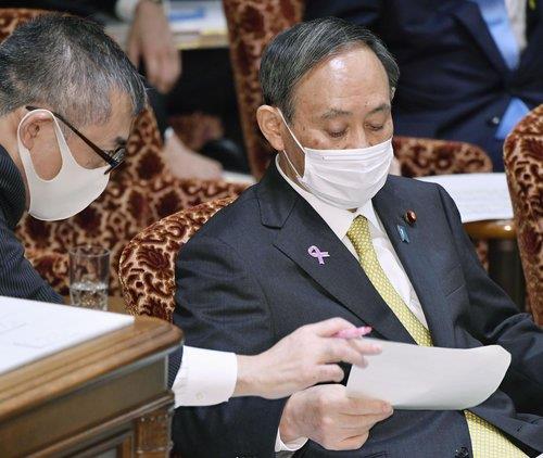 (도쿄 교도=연합뉴스) 스가 요시히데 일본 총리가 지난 25일 참의원 예산위원회에서 답변 자료를 살펴보고 있다. 