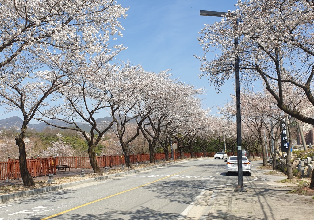 청풍면 물태리
