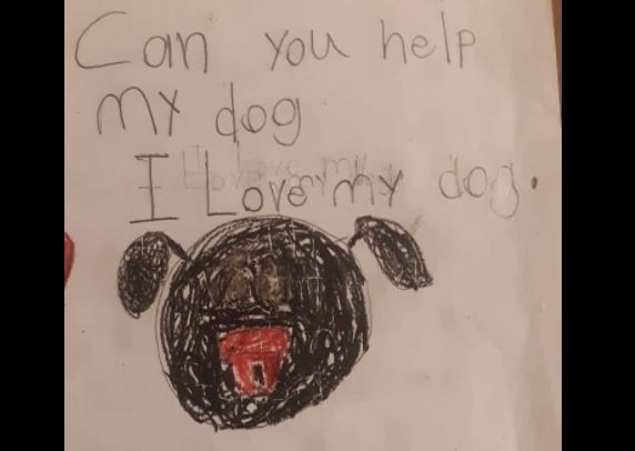 브리슨이 브루스의 치료비 모금을 위해 그린 그림.