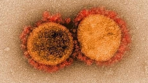 프랑스서 '돌연변이 46개' 코로나19 새 변이 바이러스 발견
