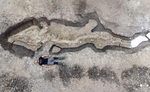 머리만 2ｍ…1억8천만년 전 10m짜리 어룡화석 발견