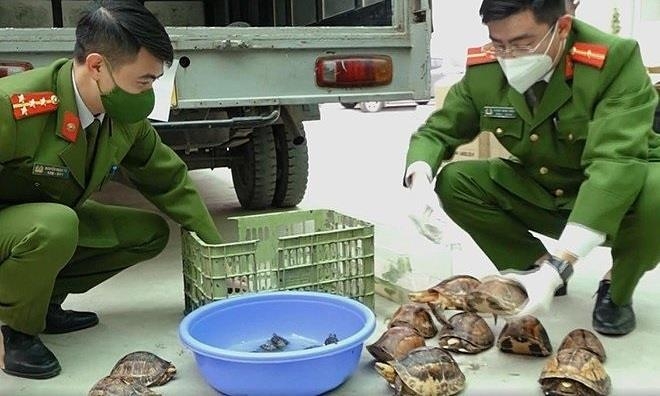 차량 안에서 압수한 멸종위기 거북들을 살펴보고 있는 베트남 공안