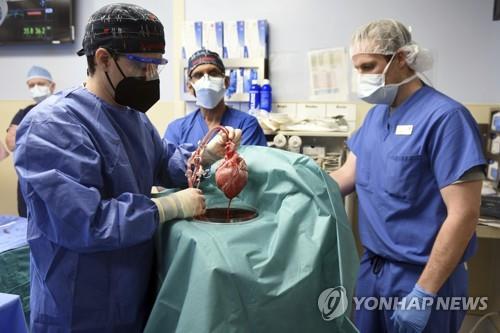 돼지심장 인체 이식팀에 '독실한 무슬림 의사' 논란