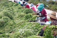 전북도, 여성농업인 복지 지원 '팍팍'…올해 112억 투입
