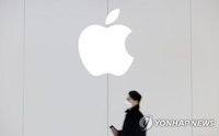 애플 매출 대비 법인세, 한국선 0.9% 불과…세계 4%