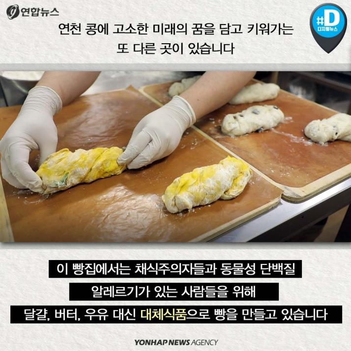 [카드뉴스] '청정 DMZ' 연천의 희망, 콩 심은데 꿈 난다! - 7