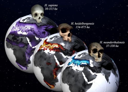 "인류 조상은 하이델베르크인…200만년간 기후 분석해 규명"
