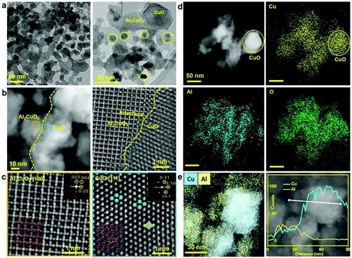 전자현미경으로 관찰한 구리알루미늄 촉매 모습