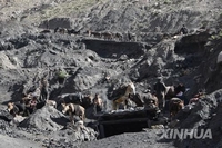 아프간 탈레반, 경제난에 석탄 수출 박차…수출세도 30%로 올려