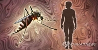 봄 가뭄 덕분?…1∼5월 말라리아 환자 지난해 40% 수준