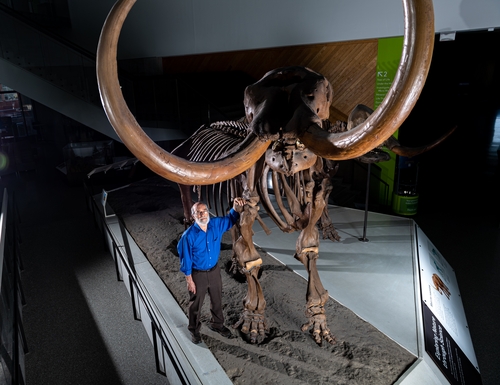 멸종 고대 코끼리의 1만3천년 전 상아에 새겨진 최후